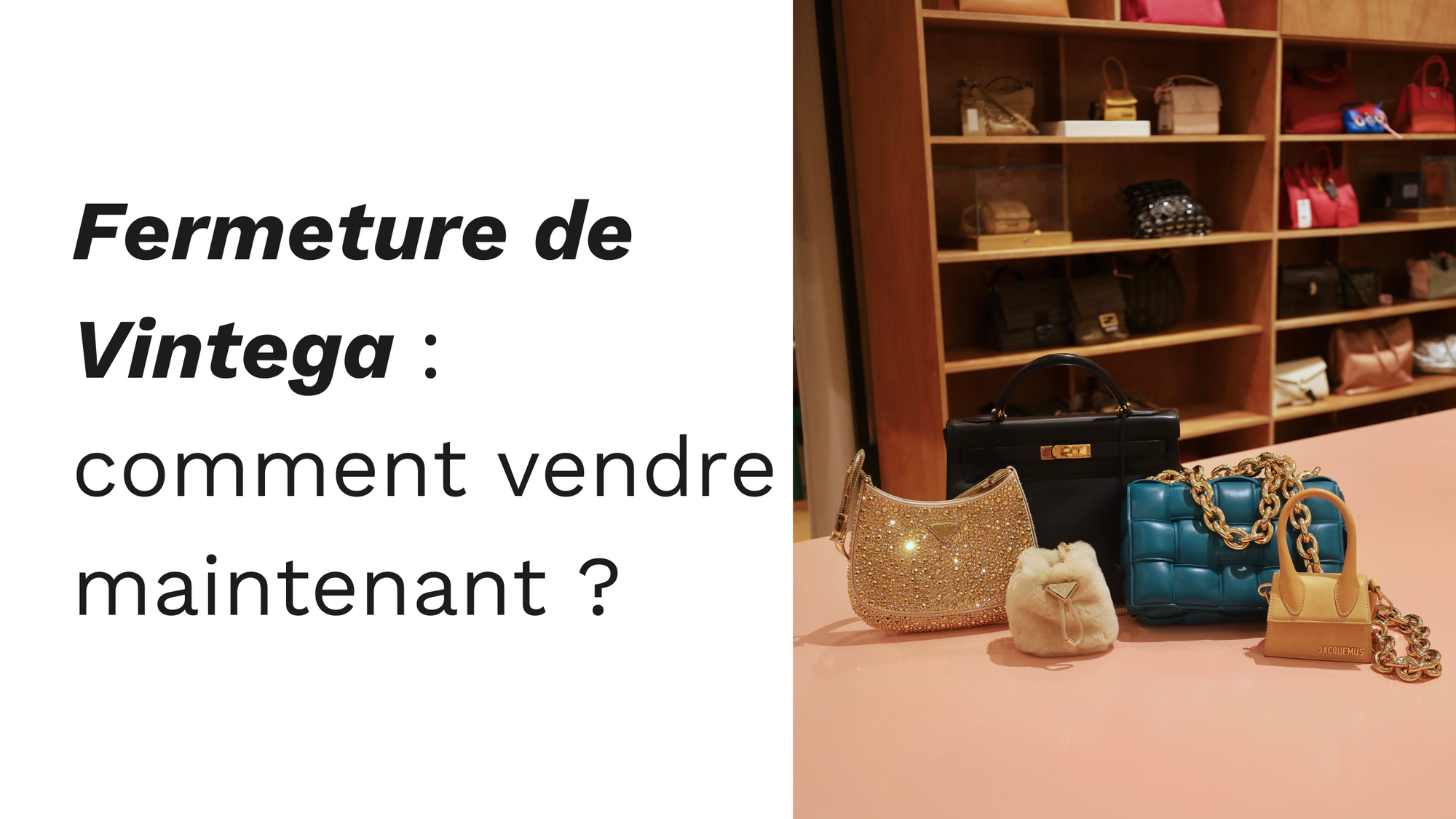Fermeture de Vintega : que s’est-il passé?