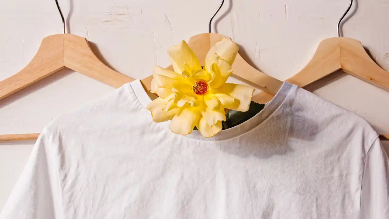 Pourquoi choisir la seconde main (d'urgence) ?