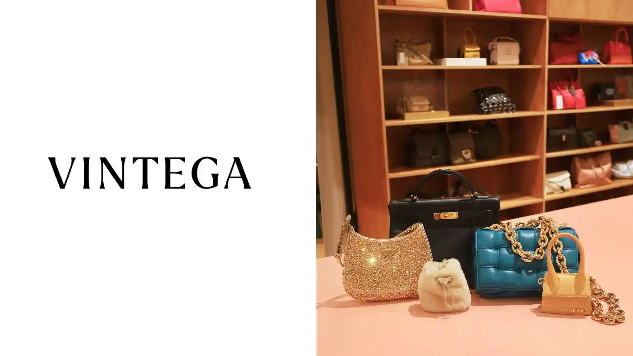Fermeture de Vintega : que s’est-il passé ?