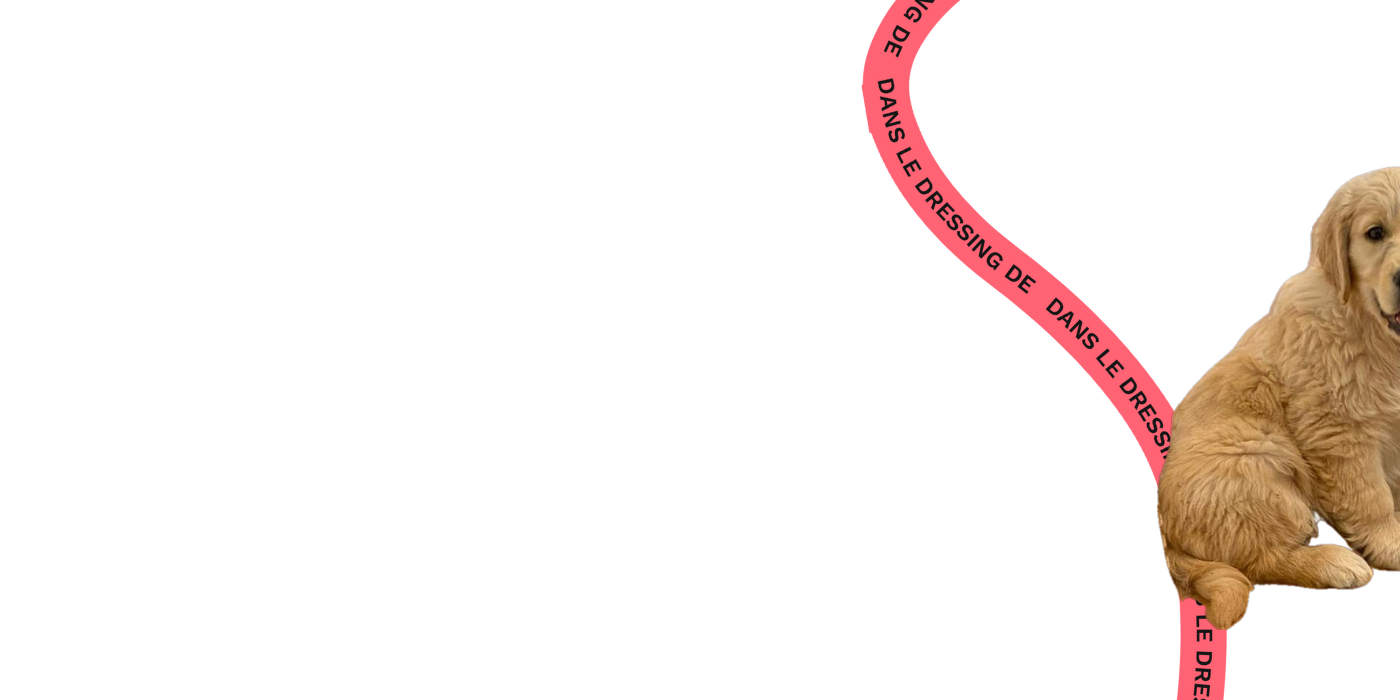 Le dressing de Constance au pays de Bambi