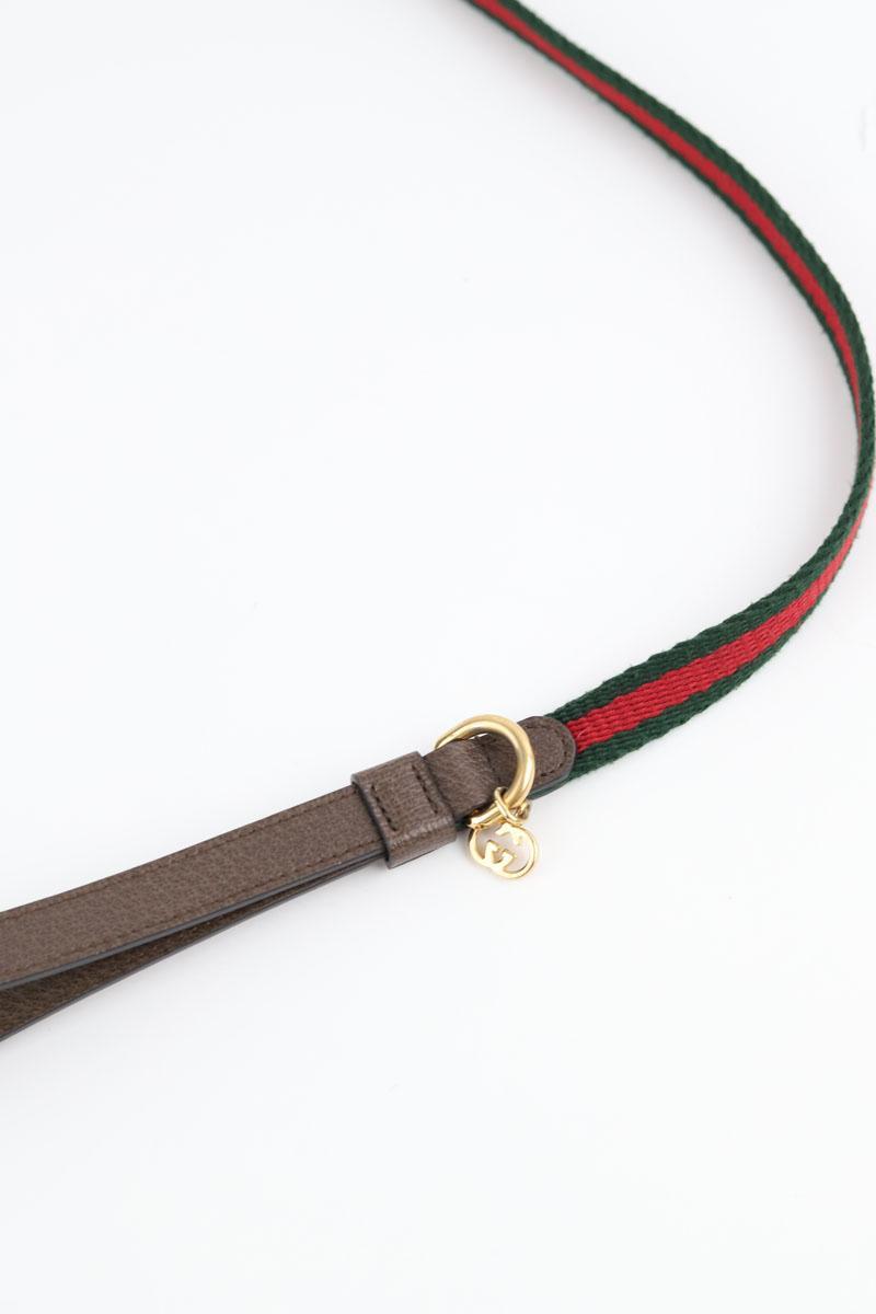Collier Chien Gucci  Vert