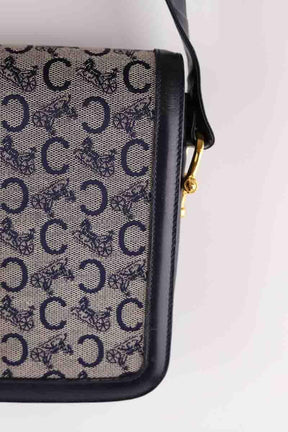 Sacs à bandoulière Celine  Bleu