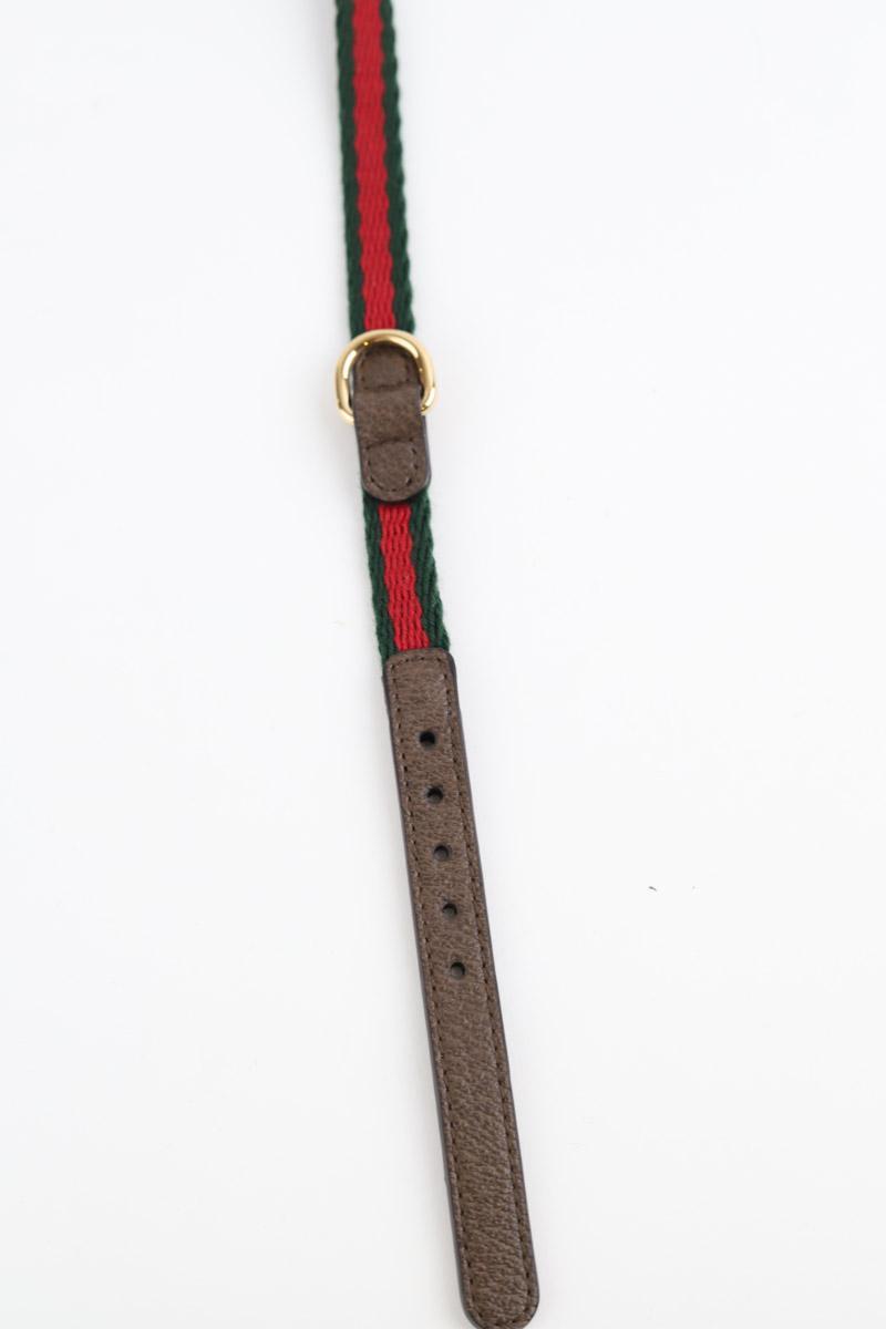 Collier Chien Gucci  Vert