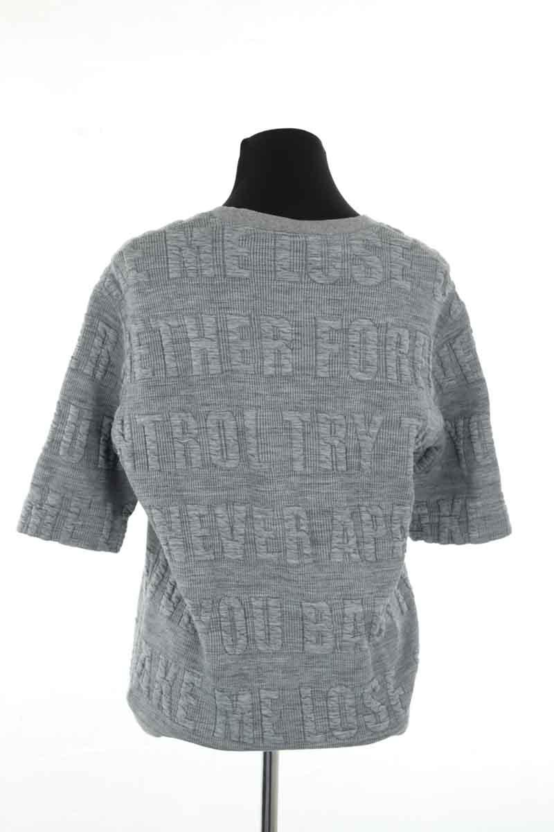 Pulls Sandro  Gris