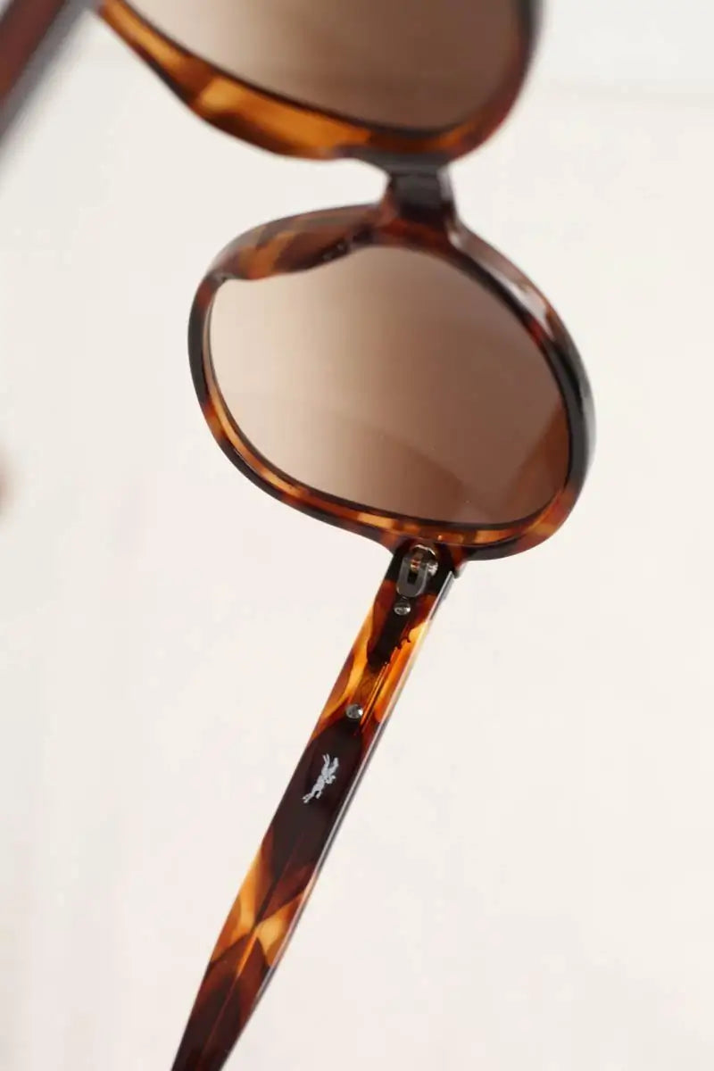 Lunettes de soleil Longchamp  Marron