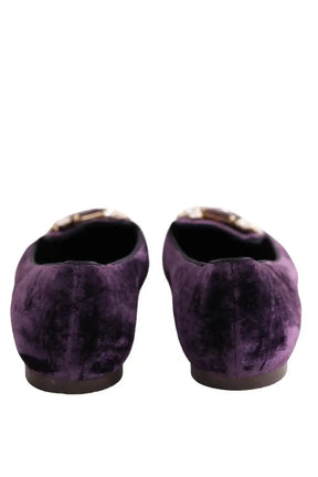Ballerines Dolce & Gabbana Violet en Velours