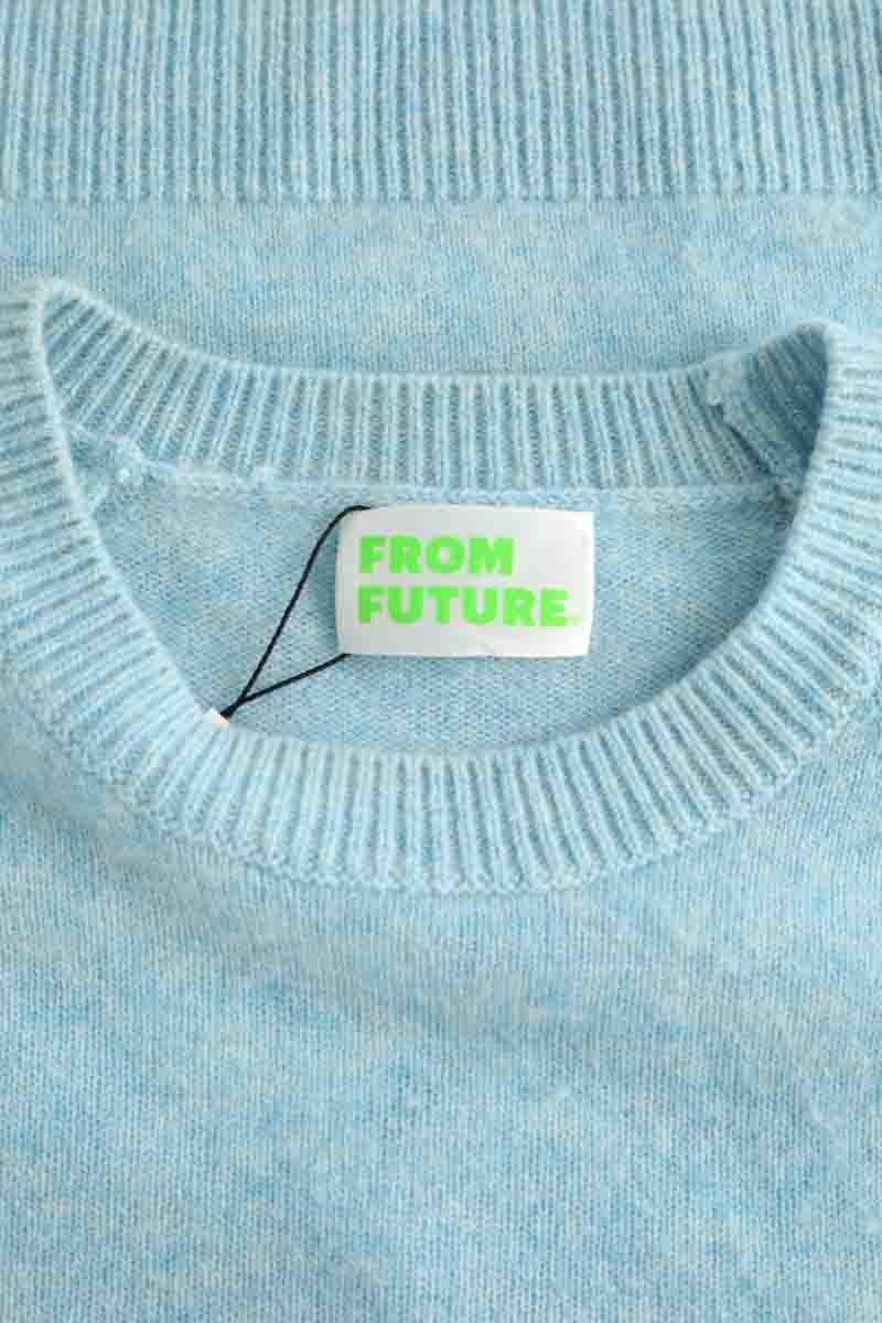 Pulls From Future  Bleu