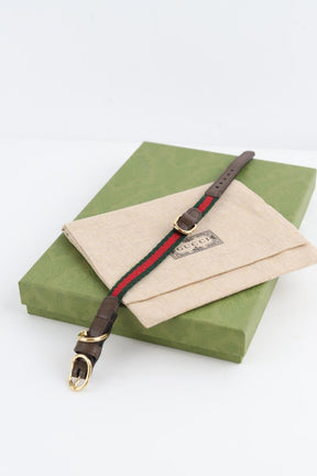 Collier Chien Gucci  Vert