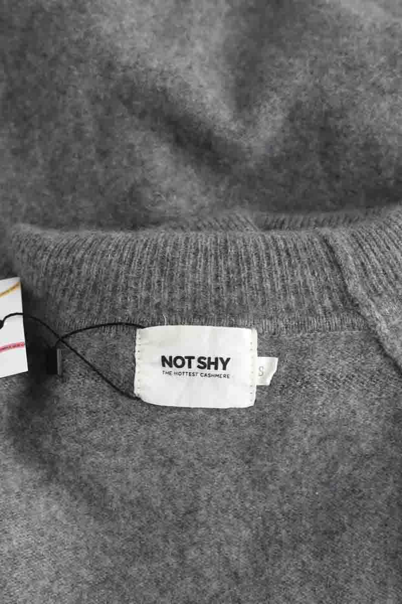 Pulls Notshy  Gris