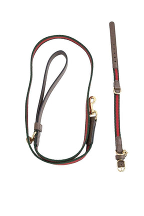 Collier Chien Gucci  Vert