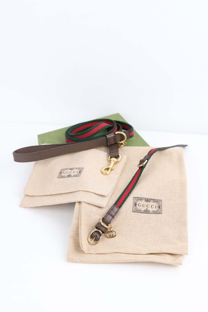 Collier Chien Gucci  Vert