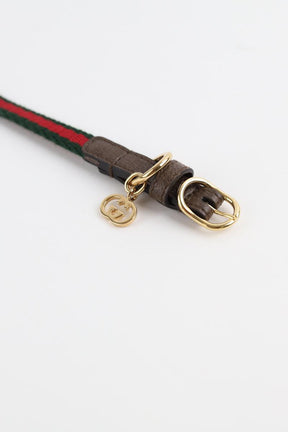 Collier Chien Gucci  Vert