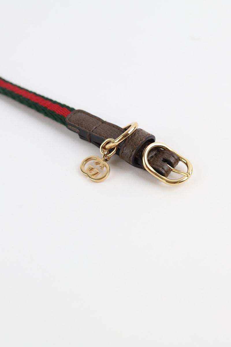 Collier Chien Gucci  Vert