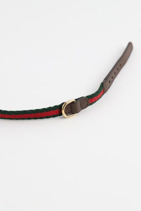 Collier Chien Gucci  Vert