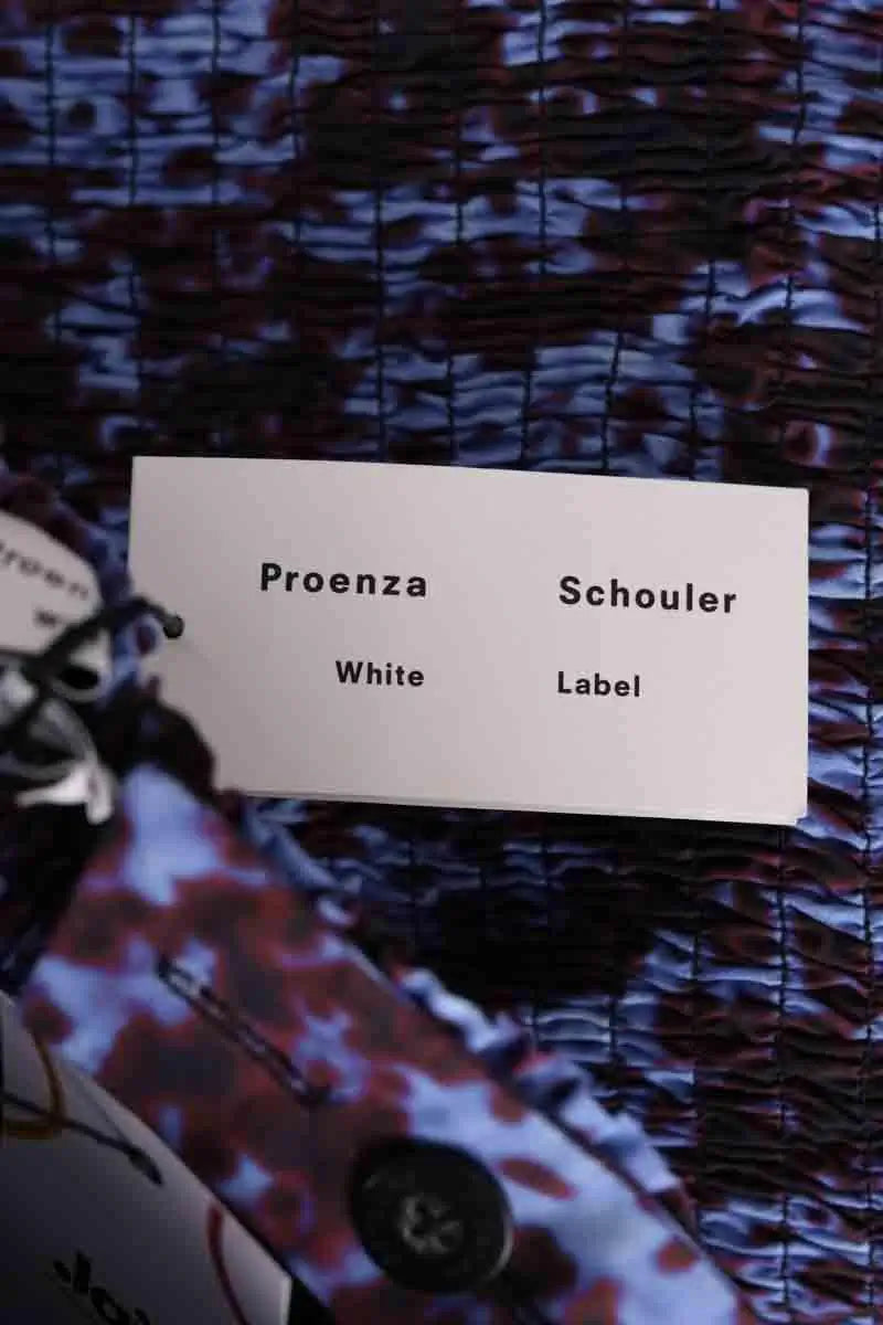 Robe Proenza Schouler Bleu en Coton