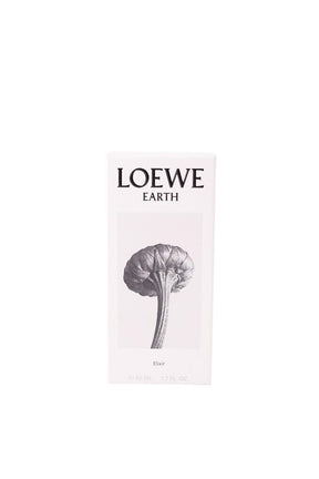 Parfum Loewe  Rose