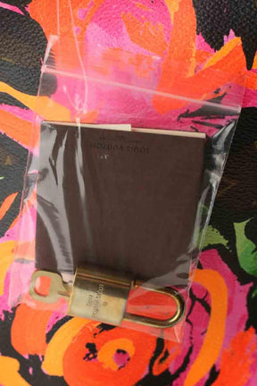 Sac de voyage Louis Vuitton  Marron