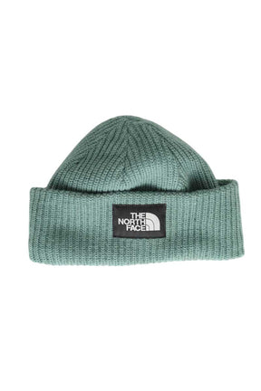 Chapeau The North Face  Vert