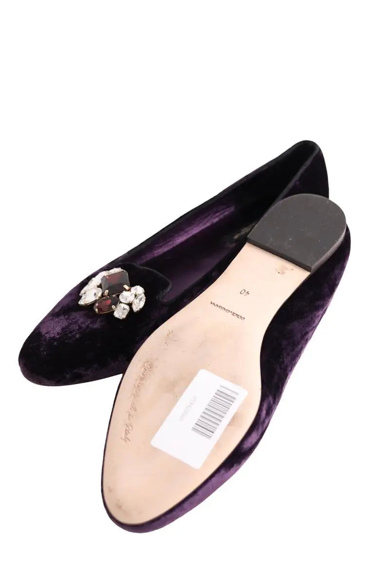 Ballerines Dolce & Gabbana Violet en Velours
