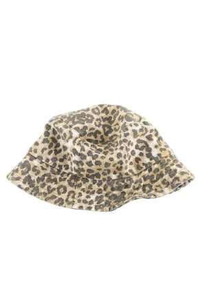 Autres RAGDOLL  Marron