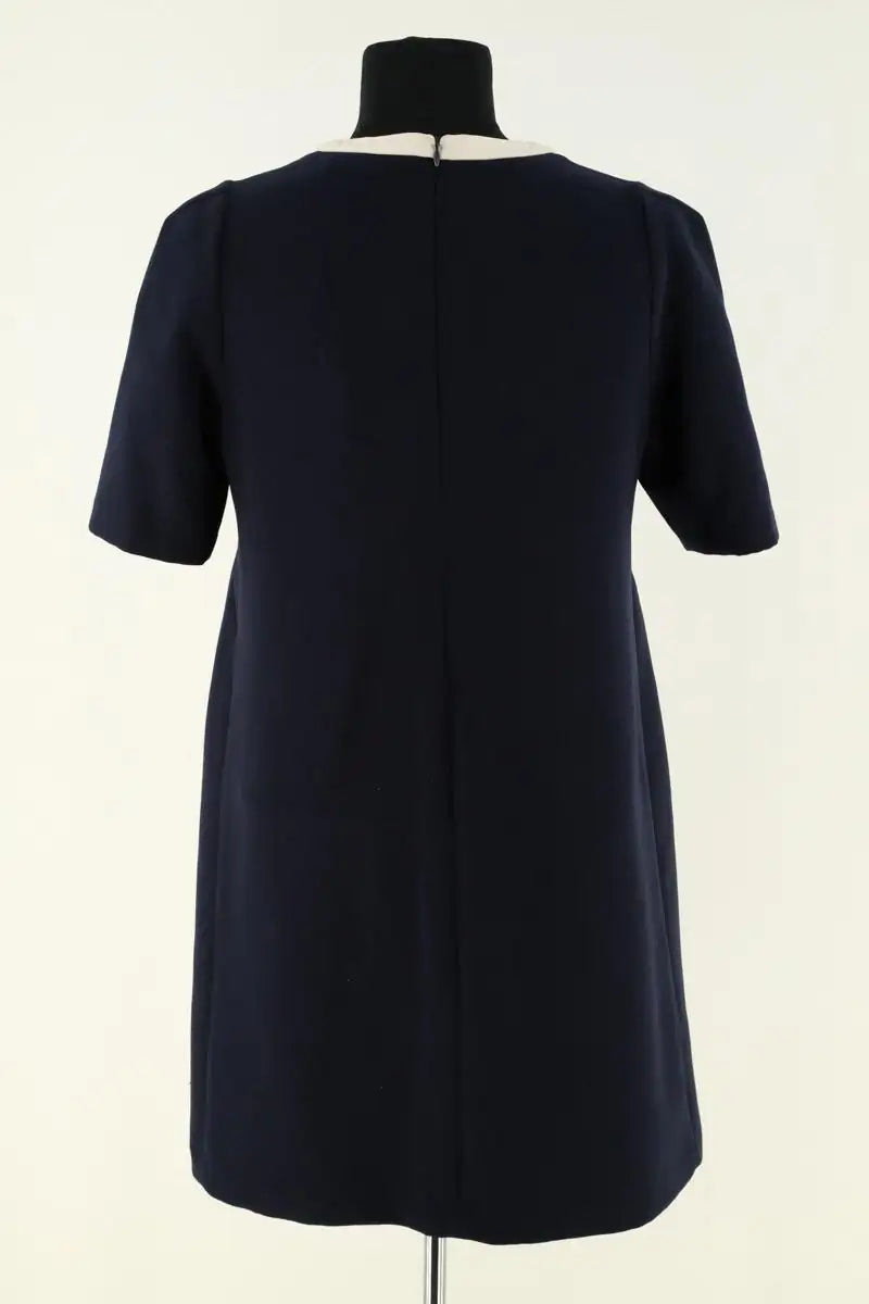 Robe Tara Jarmon Bleu en Synthétique
