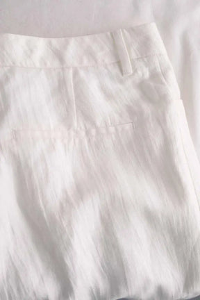 Pantalon Zadig & Voltaire Pistol tailleur lin Blanc en Lin