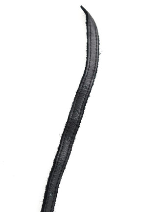Ceinture en cuir Zadig & Voltaire  Noir