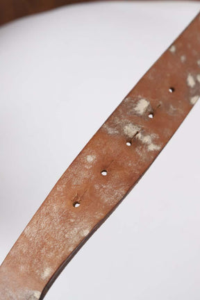 Ceinture Roberto Cavalli  Marron