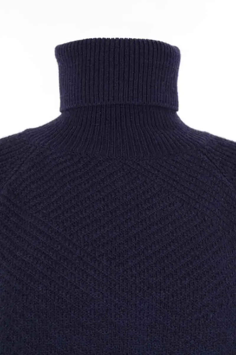 Pull Tara Jarmon Bleu en Laine