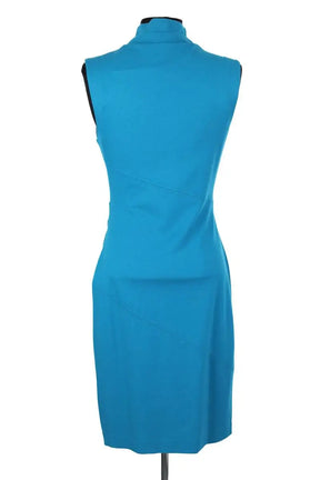 Robe Diane Von Furstenberg Bleu en Viscose