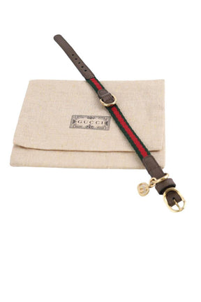 Collier Chien Gucci  Vert