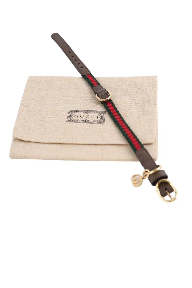 Collier Chien Gucci  Vert