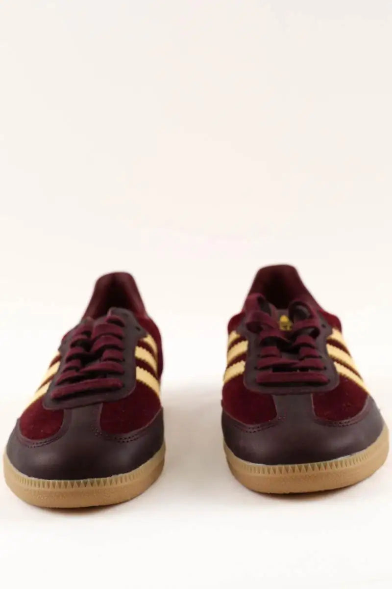 Baskets Adidas Samba Bordeaux en Velours