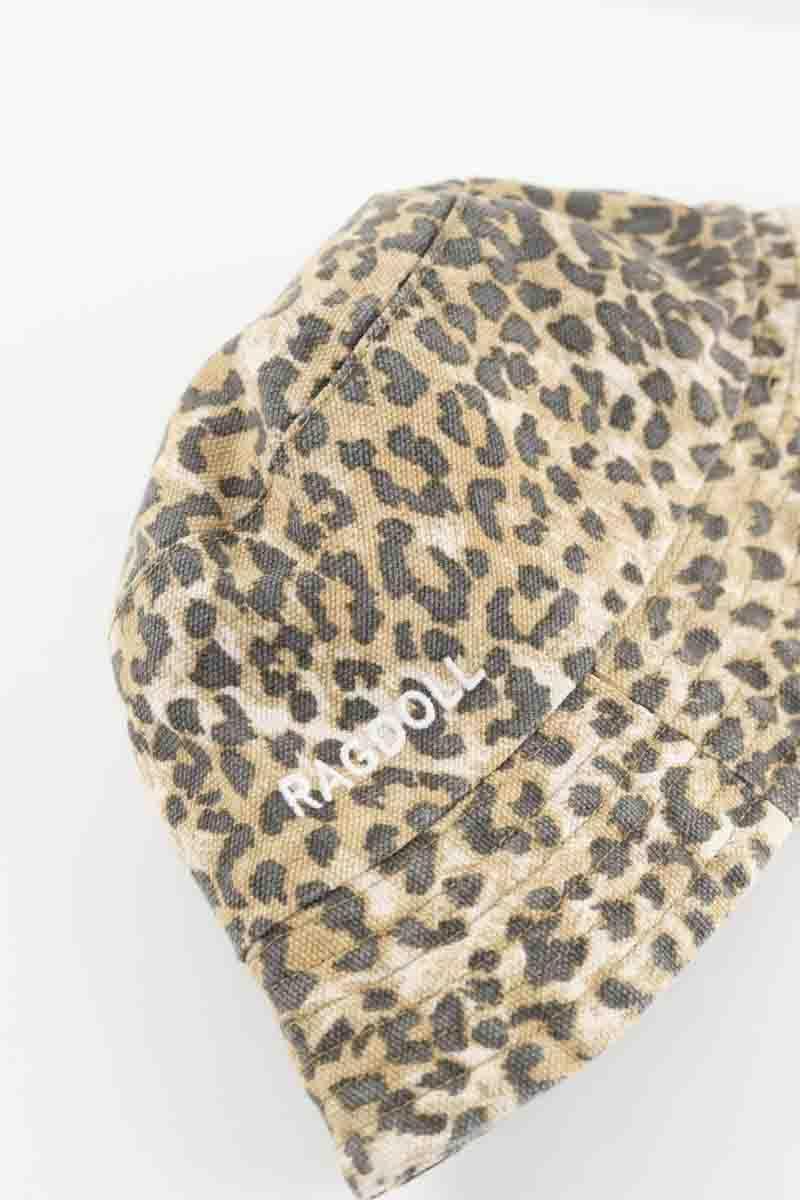 Autres RAGDOLL  Marron