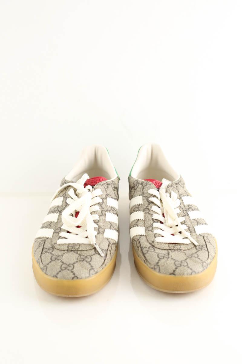 Baskets Gucci  Beige