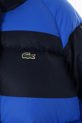 Doudounes Lacoste  Bleu
