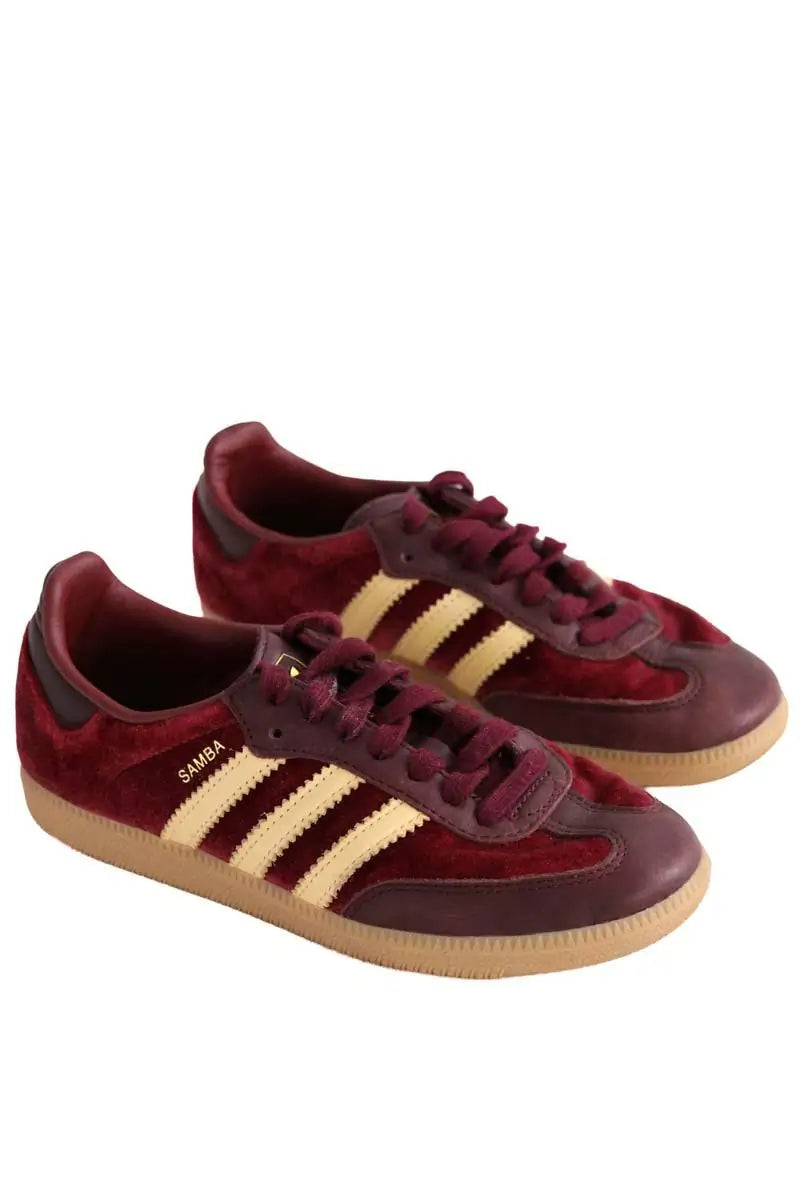 Baskets Adidas Bordeaux en Velours