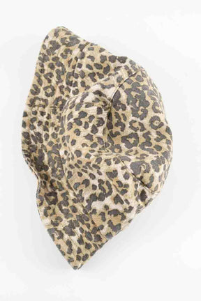 Autres RAGDOLL  Marron