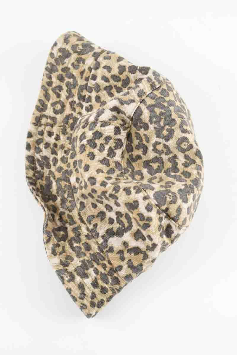 Autres RAGDOLL  Marron