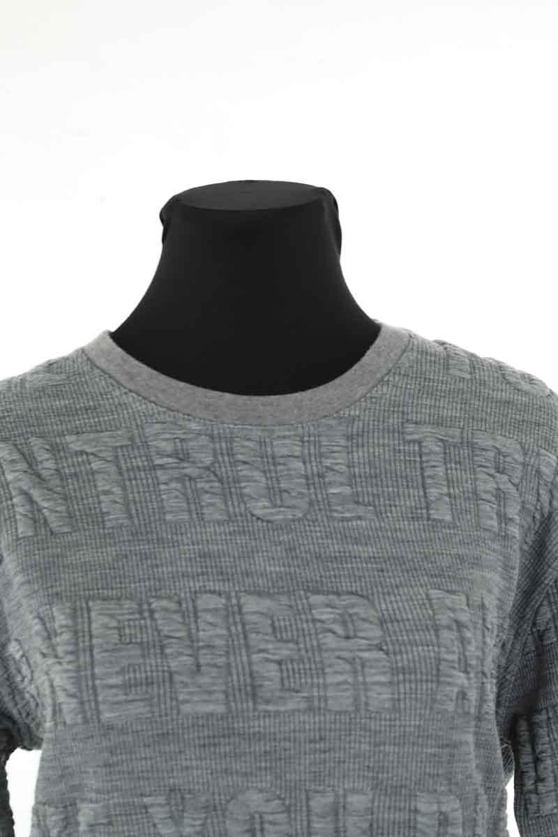 Pulls Sandro  Gris