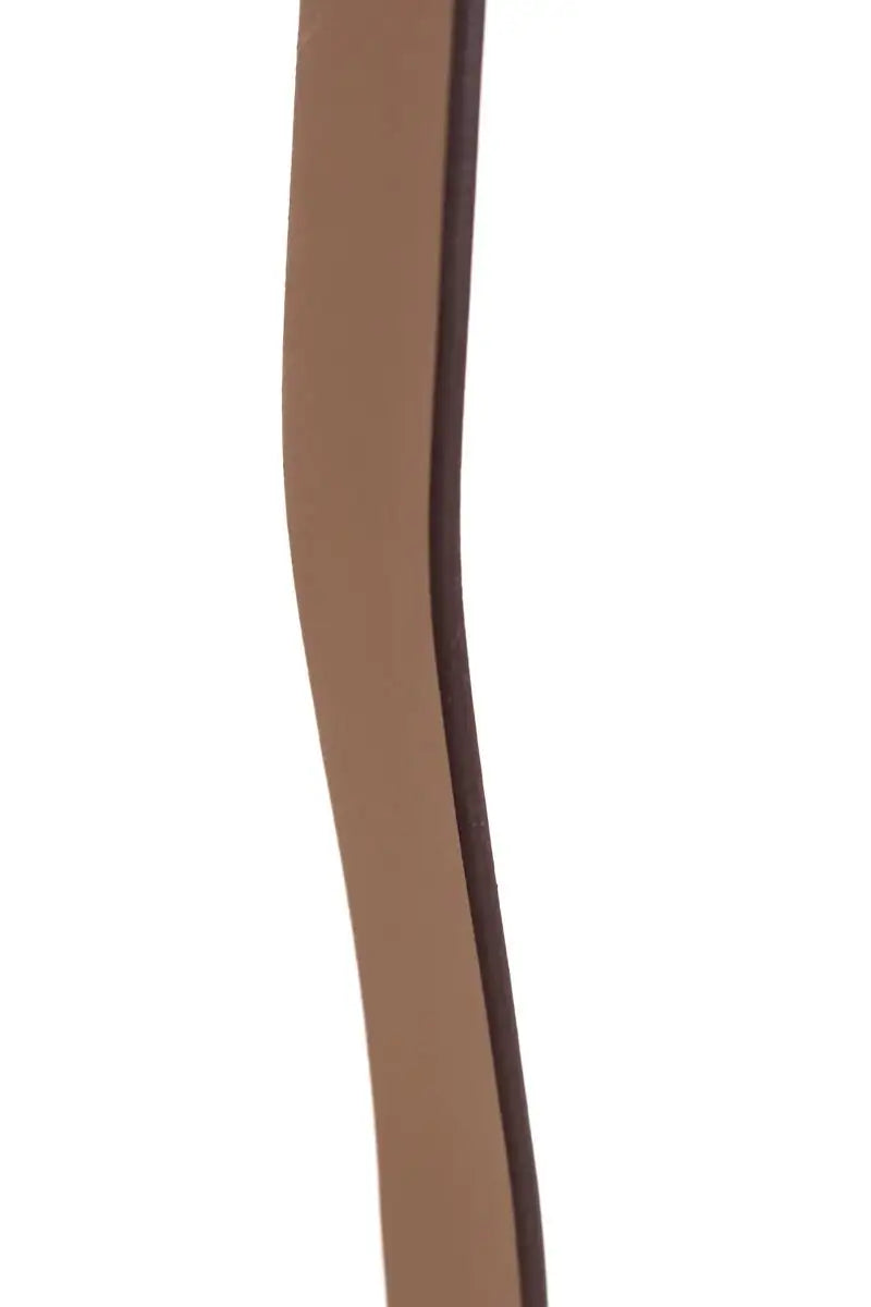 Ceinture Anine Bing Marron en Cuir