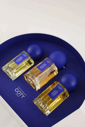 Coffret de 3 Parfums Infiniment Coty Bleu en 