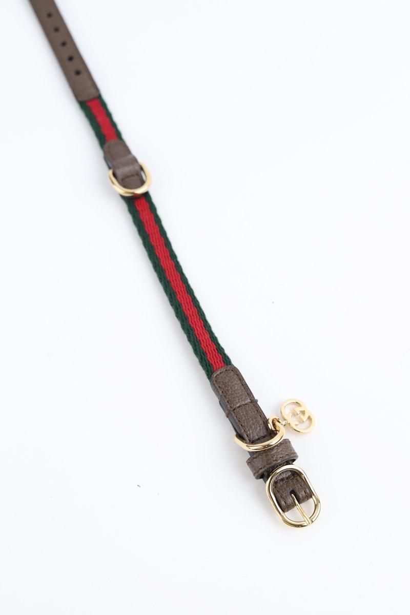 Collier Chien Gucci  Vert