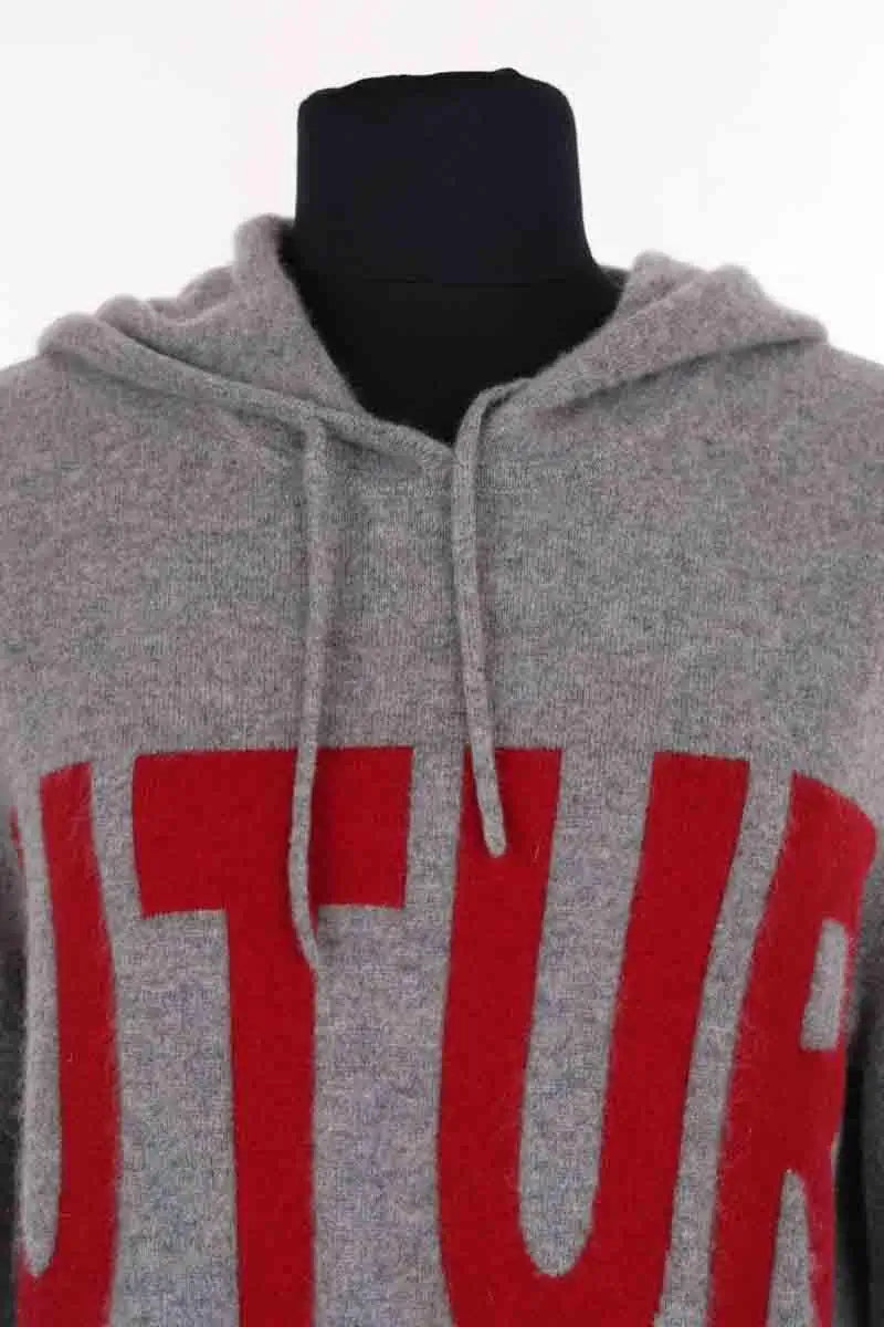 Sweatshirt à capuche  From Future Gris en Cachemire