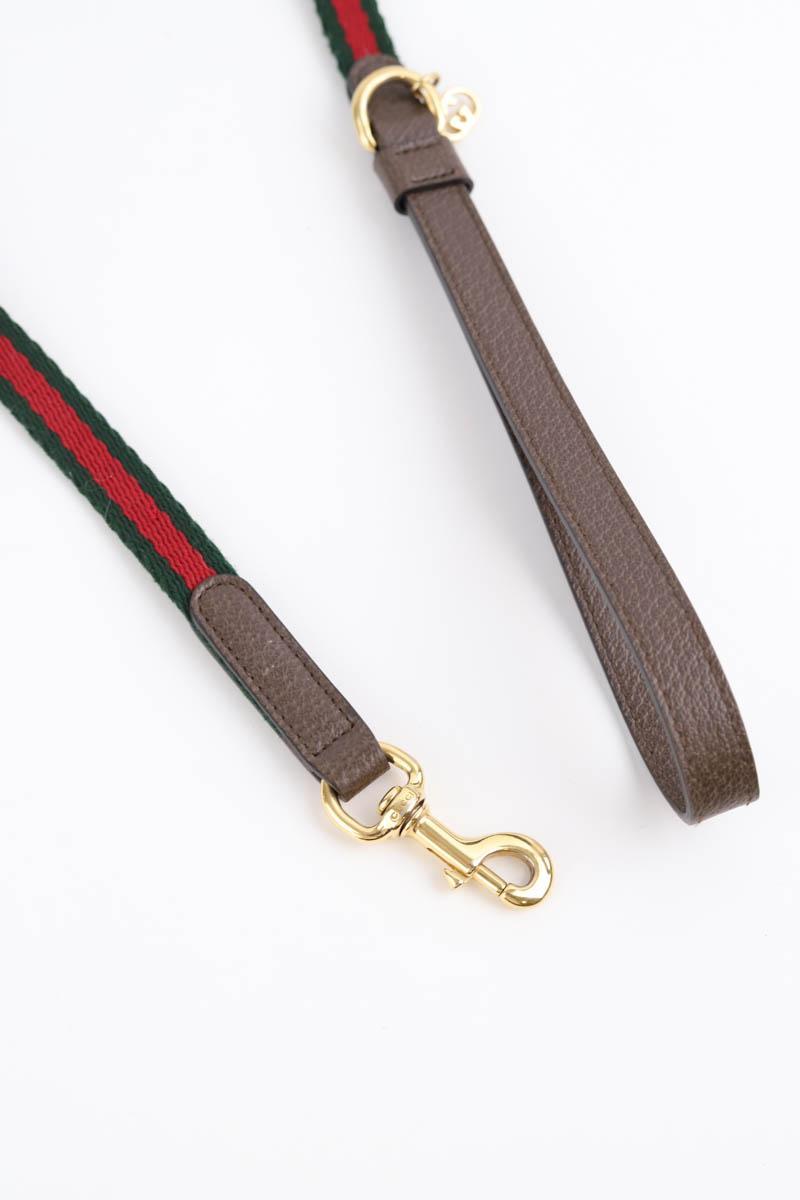 Collier Chien Gucci  Vert