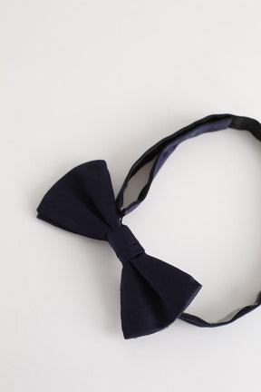 Noeud papillon Dior  Bleu