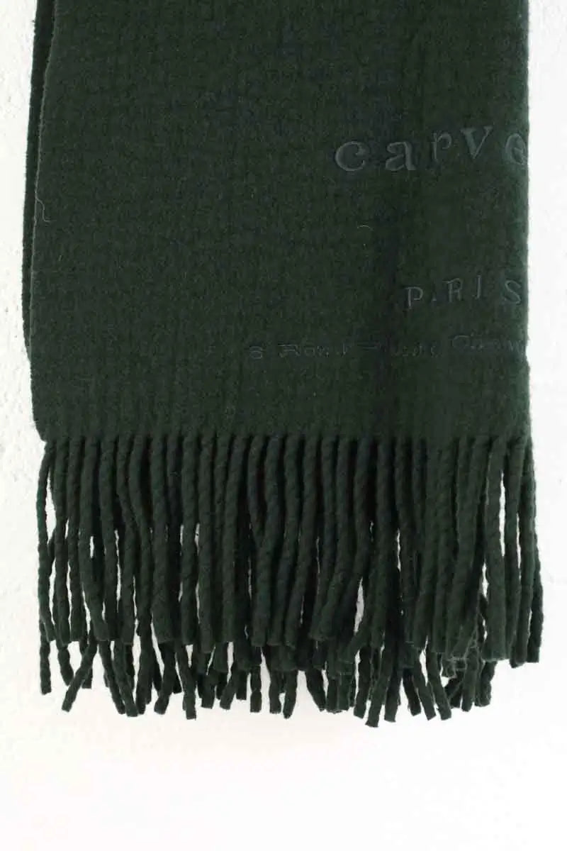 Écharpe Carven Vert en Laine