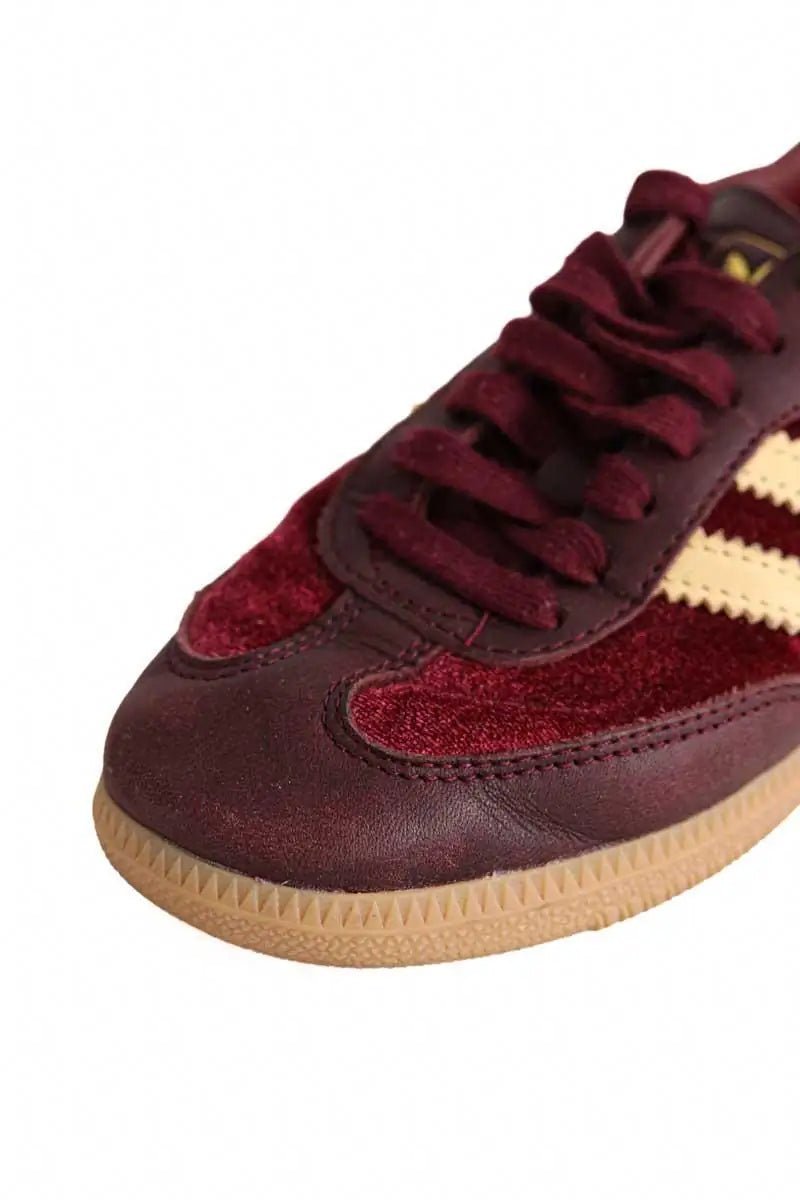 Baskets Adidas Bordeaux en Velours