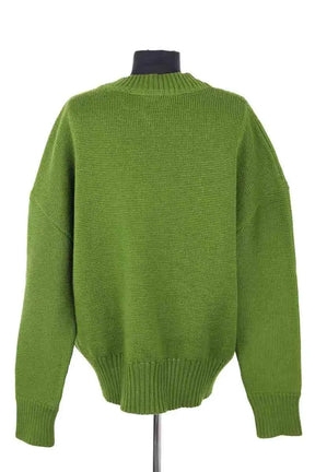Pull Ami Vert en Laine