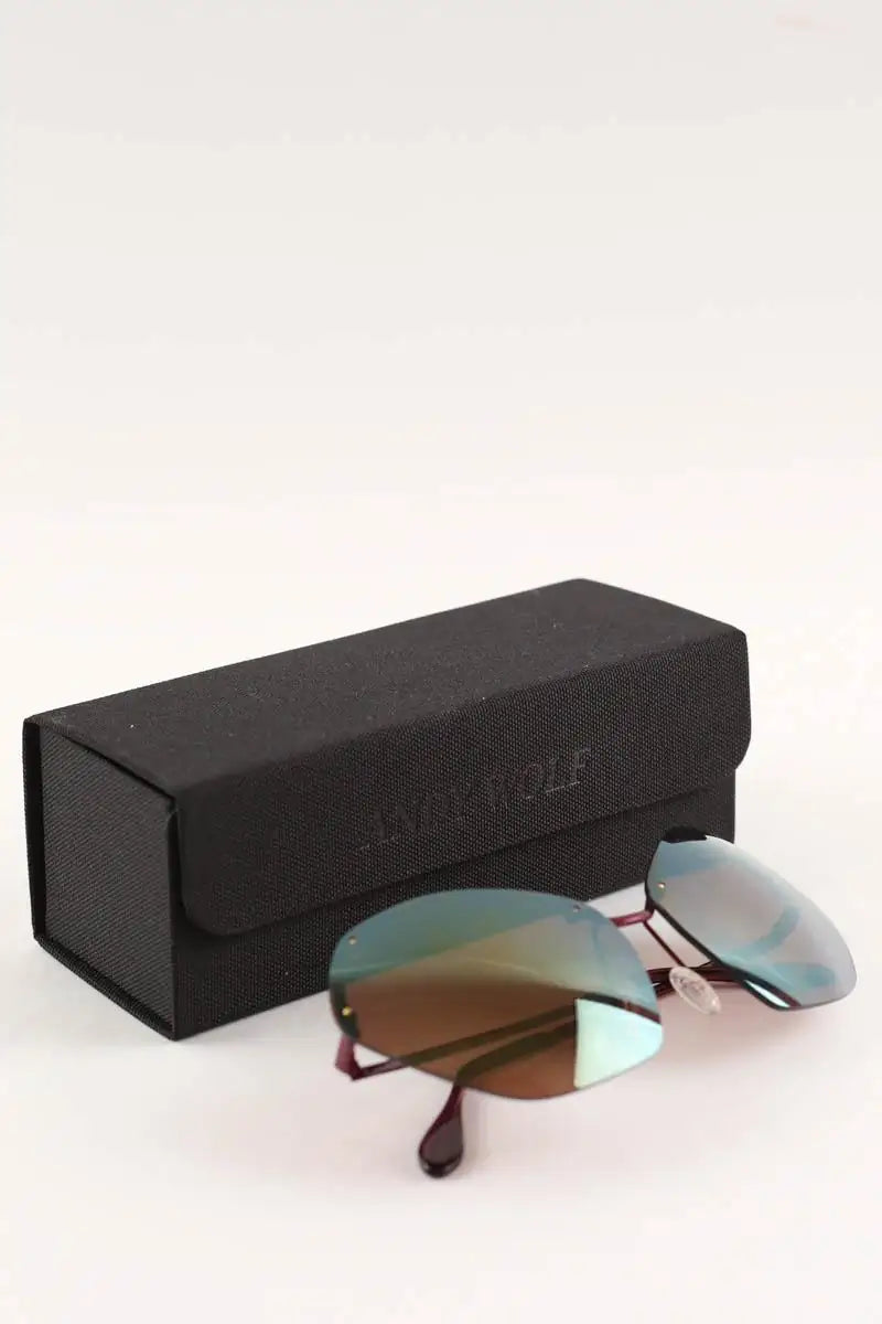 Lunettes de soleil Andy Wolf Marron en Plastique